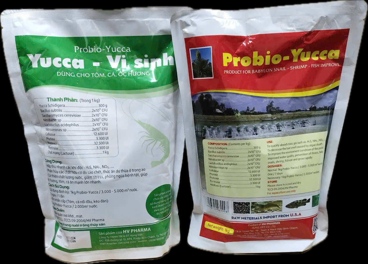 Probio Yucca